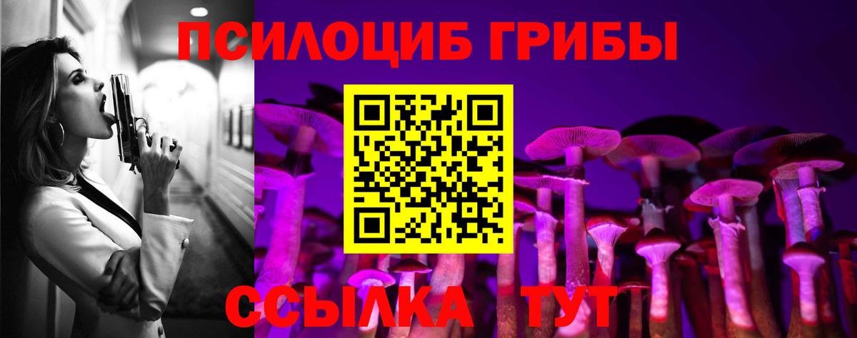 Кировск  Галлюциногенные грибы MAGIC MUSHROOMS  где купить наркоту  Вход с VPN 